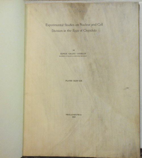 Item #10789 Experimental Studies on Nuclear and Cell Division in the Eggs of Crepidula. Edwin Grant Conklin.