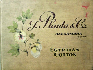 Item #12671 F. Planta & Co. Alexandria Egypt (Company Book). Photography - F. Planta, Co