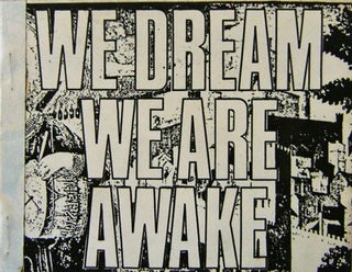 Item #13513 We Dream We Are Awake. Elizabeth DiPalma