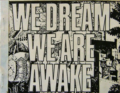 Item #13513 We Dream We Are Awake. Elizabeth DiPalma.