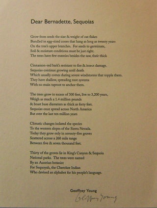 Item #15779 Dear Bernadette, Sequoias (Signed Broadside Poem). Geoffrey Young