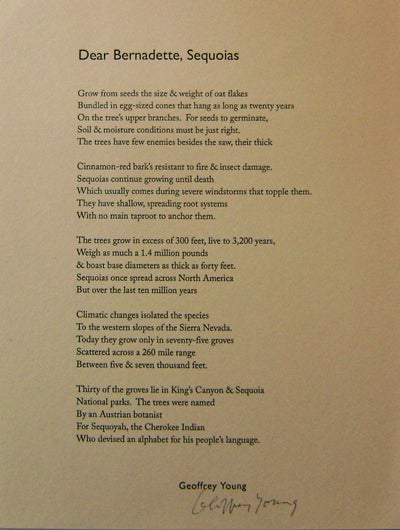 Item #15779 Dear Bernadette, Sequoias (Signed Broadside Poem). Geoffrey Young.