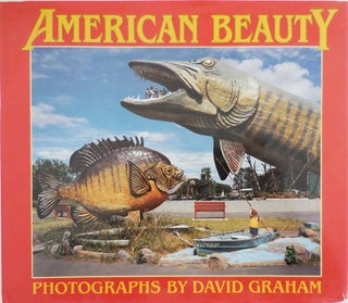 Item #26673 American Beauty (Signed). David Photography - Graham
