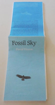 Item #29721 Fossil Sky. David Hinton