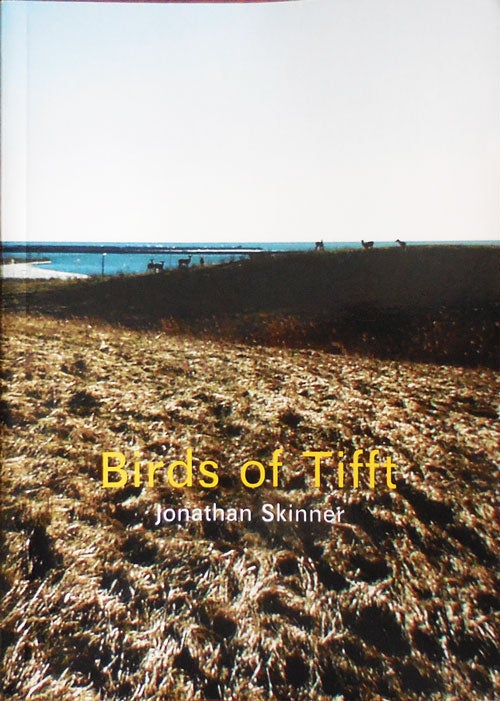 Item #32646 Birds of Tifft. Jonathan Skinner.