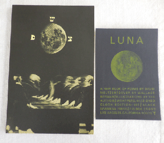 Item #34466 Luna. David Meltzer, Cover Artist Wallace Berman