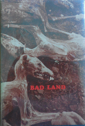 Item #34630 Bad Land. Richard Emil Braun