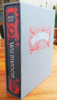 Item #34861 Wildwood (The Wildwood Chronicles Book 1). Colin with Fantasy - Meloy, Carson Ellis