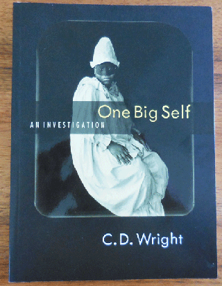 Item #35192 One Big Self - An Investigation. C. D. Wright